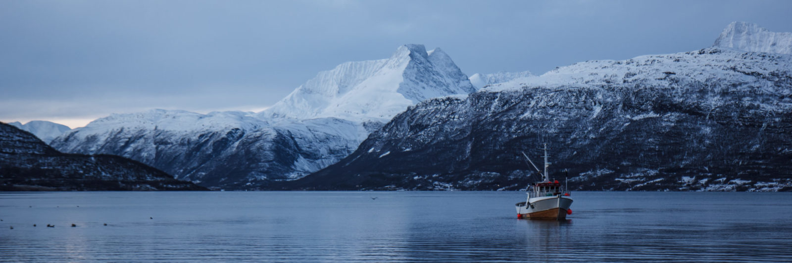 Huile de foie de morue naturelle de Norvège