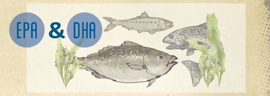 Bienfaits des oméga-3 EPA & DHA