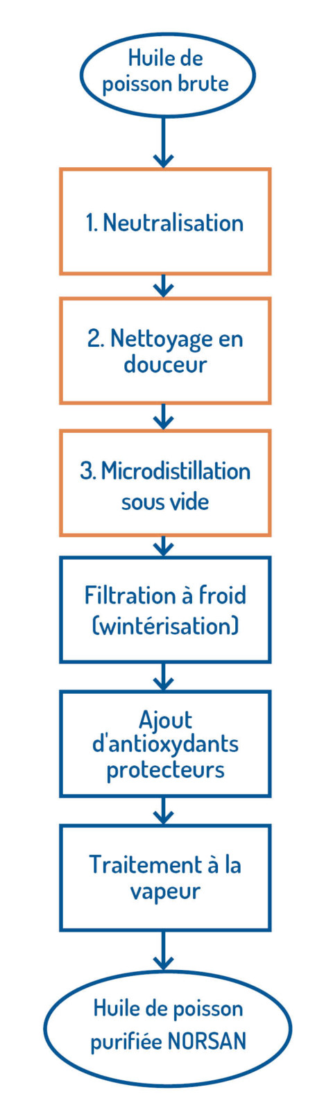 Huile de poisson : définition et explications