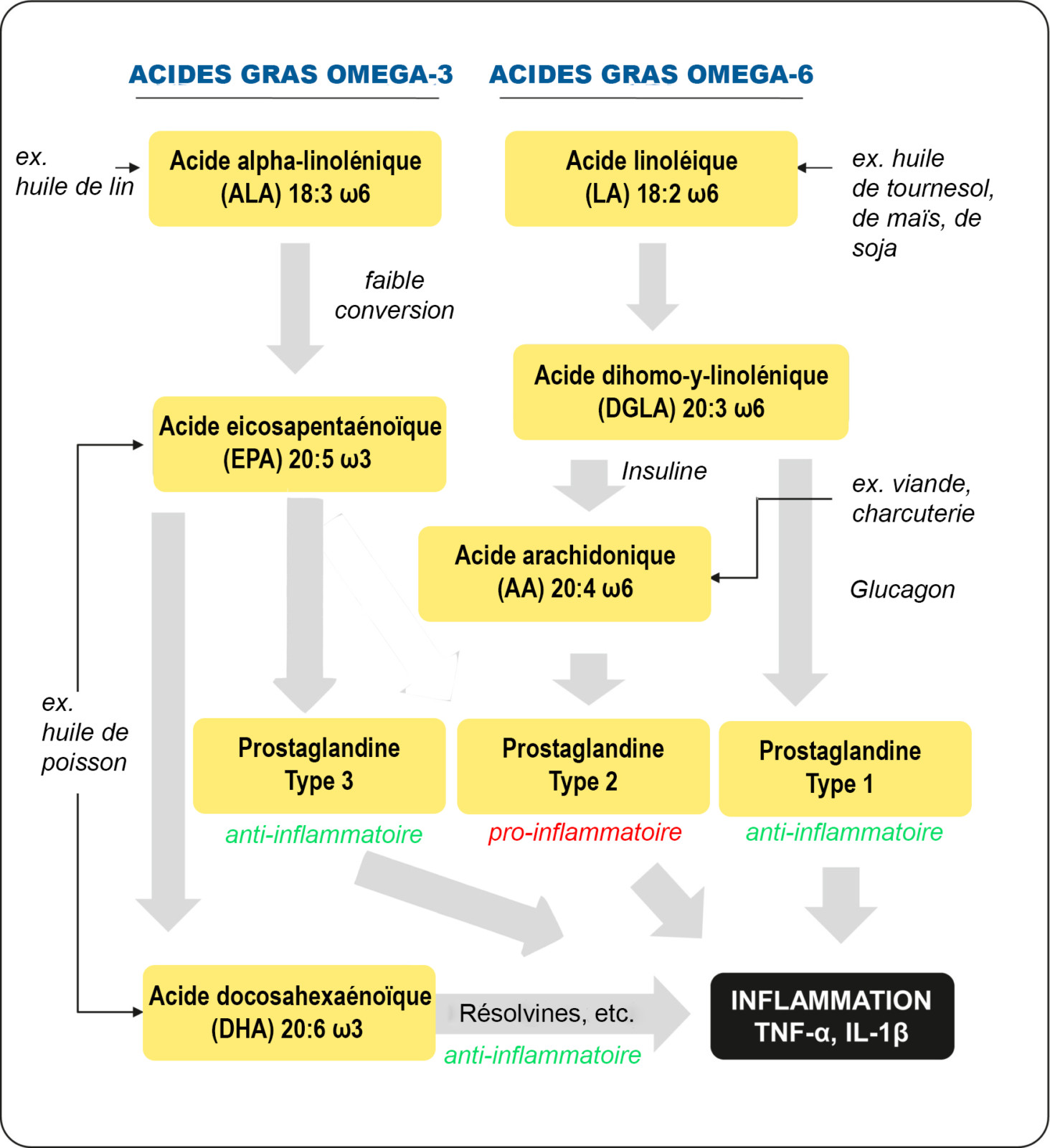 Huile de poisson - Schéma de l'inflammation 