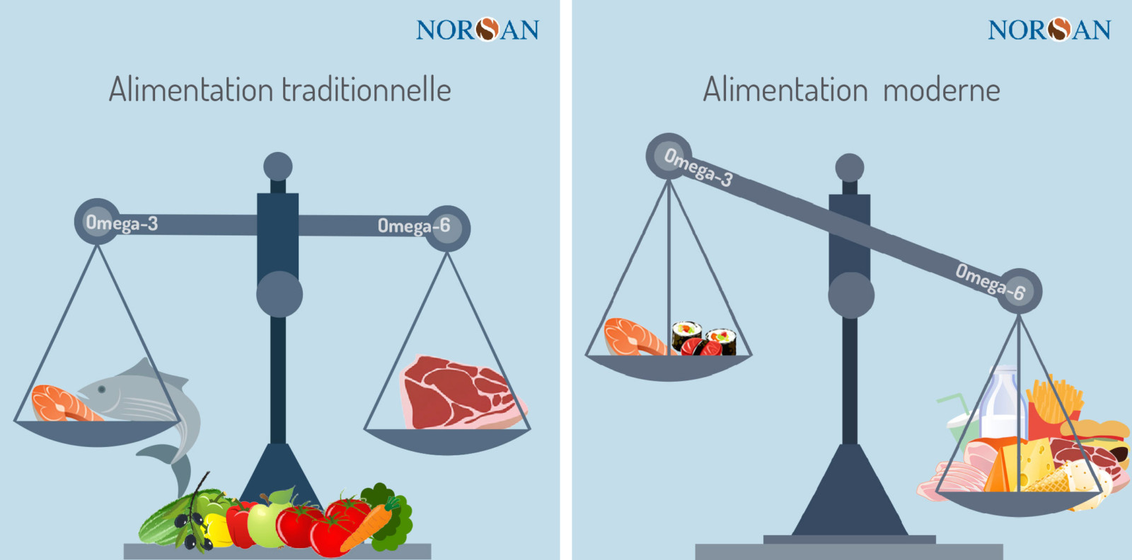 Alimentation traditionnelle vs moderne 