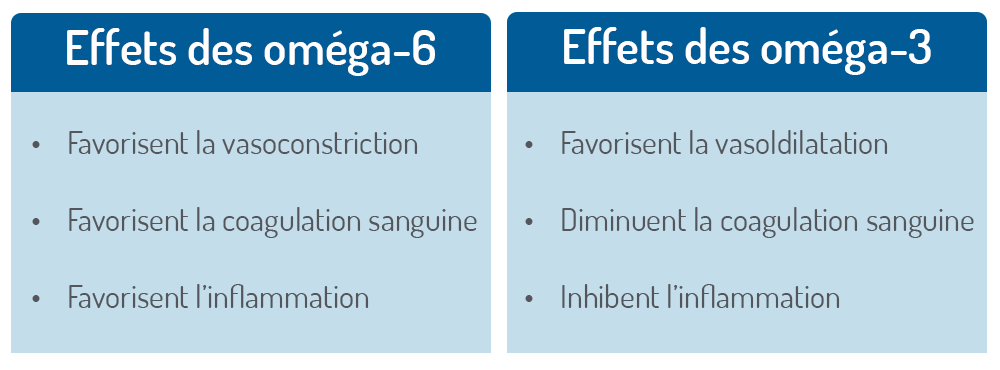 Effets omega 6 et omega 3