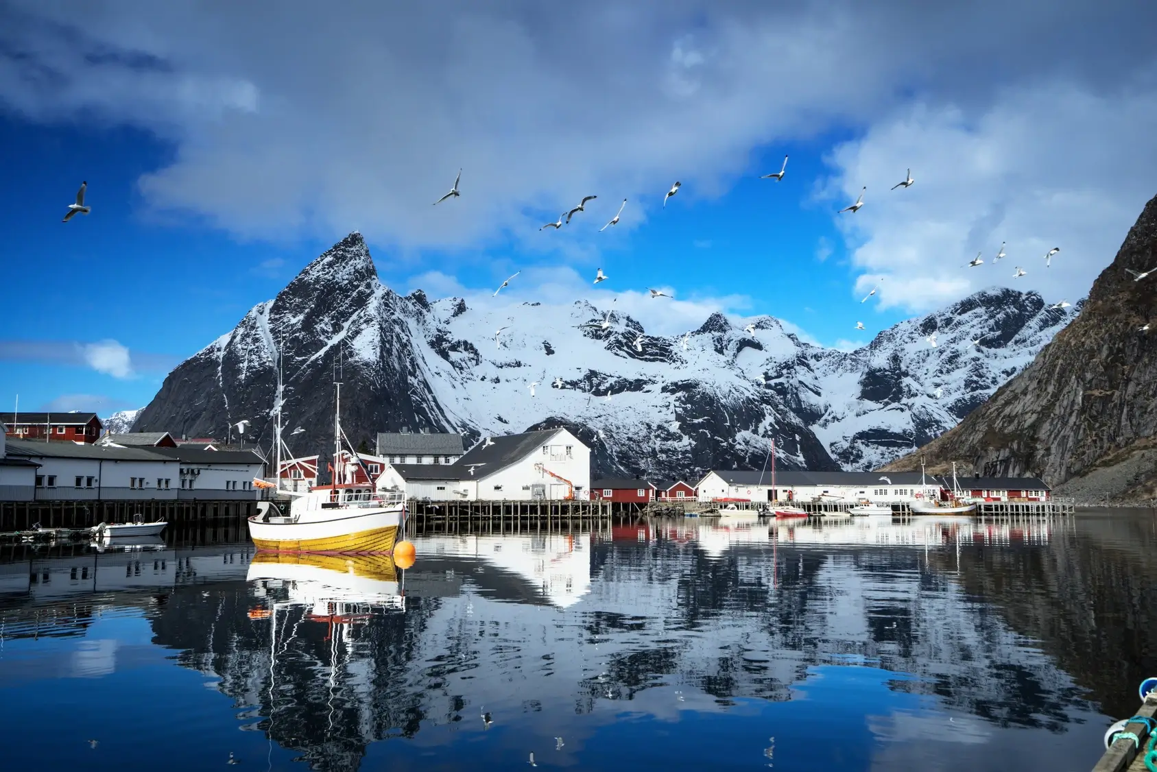 Iles Lofoten - Omega 3 naturels NORSAN