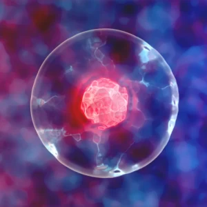 Cellule